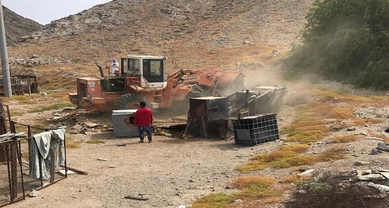 بلدية محافظة أملج تزيل حظائر الأغنام المخالفة