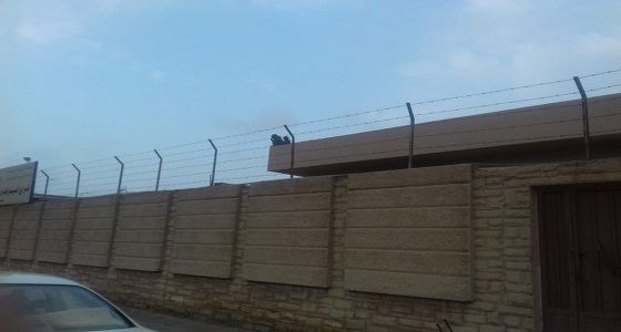 بالفيديو.. قردة تهاجم مبنى مدرسة بنات في جدة