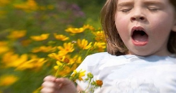 استشاري أنف وأذن: 3 أنواع لحساسية الربيع يجب الحذر منهم