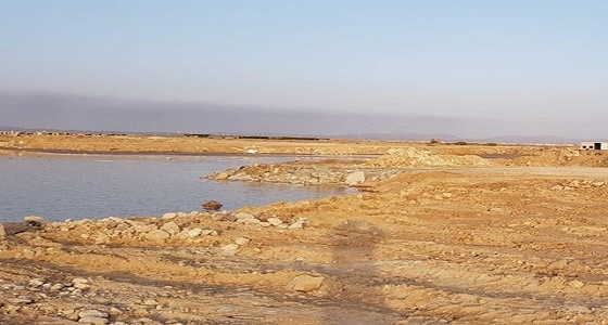 أمانة جدة: لم نسجل بؤر للضنك أمام مدرسة الأطفال