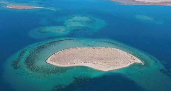 لعشاق المغامرة.. تفاصيل جديدة و مشوقة عن مشروع البحر الأحمر 