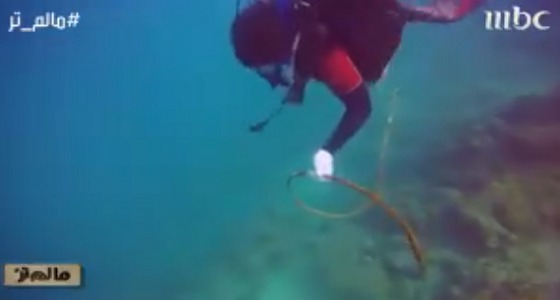 بالفيديو.. 500 متطوع ينظفون الواجهة البحرية لجدة فوجدوا كوارث تهدد المتنزهين
