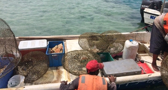 بالصور.. ضبط قارب صيد مخالف في جدة