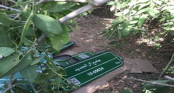 بالصور.. لافتات جديدة بأسماء مساجد في صبيا ملقاة تحت شجرة