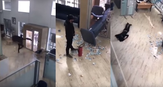 بالفيديو.. محاولة سرقة بنك على طريقة الأفلام السينمائية