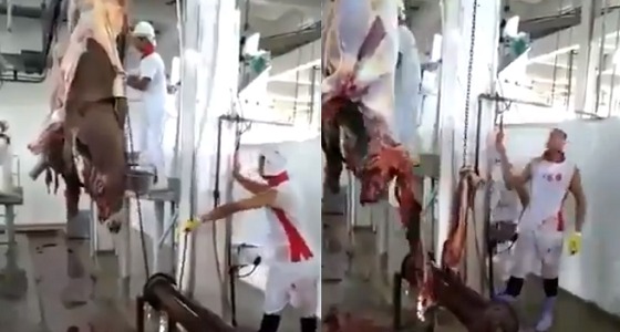 بالفيديو.. مشهد مقزز لذبح الحمير وتقديم لحومها للسياح في تركيا