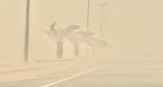 استمرار تدني الرؤية الأفقية في عسير