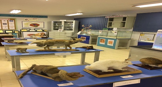 في الرياض.. متوسطة ” ابن حجر العسقلاني ” تحصل على المركز الأول في تجهيز مختبرات العلوم