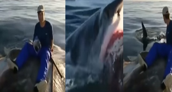بالفيديو.. شاب يصعد فوق جثة حوت نافق ليصور أسماك القرش