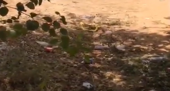 بالفيديو.. حفرة تتربص بالمارة بجانب مجمع المدارس في جازان