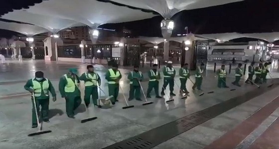 بالفيديو.. أمانة المدينة تعلن حالة الطوارئ للقضاء على ” الجنادب ” بالحرم النبوي