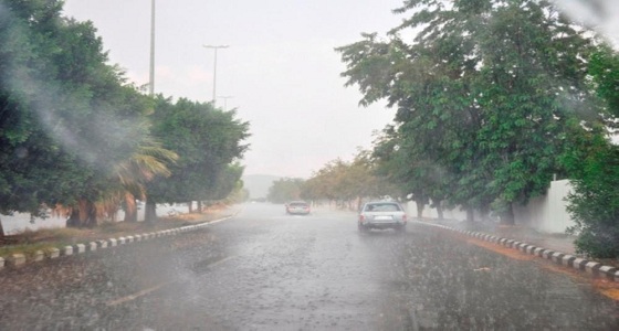 ” مدني الطائف ” يحذر من النزول لبطون الأودية