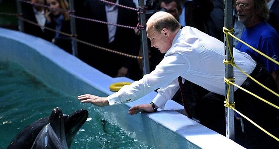 علاقة الدلافين بقوى &#8221; خارقة &#8221; لأفراد الجيش الروسي!