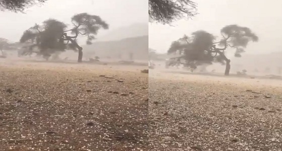 بالفيديو.. منظر طبيعي خلاب لبردية ” خلص ” بالمدينة