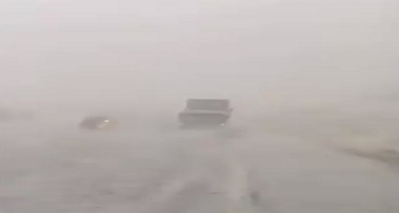 بالفيديو.. بردية شمال الطائف اليوم