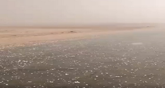 بالفيديو.. هطول البرد بكثافة على الحسي شمال الرياض