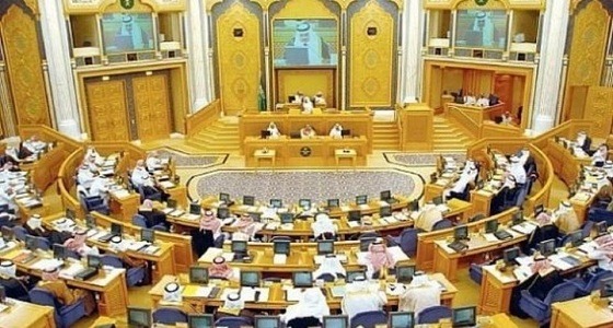الشورى يطالب الهيئة العامة للسياحة بدعم أصحاب المتاحف الخاصة