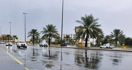 &#8221; المسند &#8221; يتوقع هطول أمطار على 9 مناطق في المملكة 