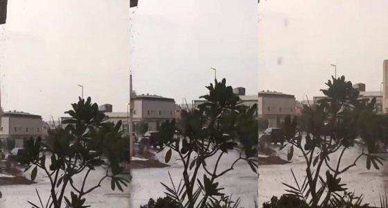 بالفيديو.. أمطار الرحمة تتساقط على الحرمين الشريفين