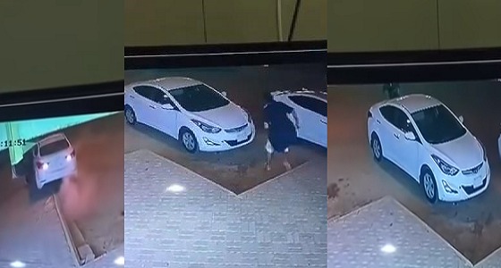بالفيديو.. دهس مالك سيارة بعد محاولته منع لص من سرقتها بالرياض