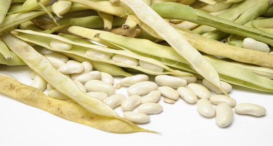 ماسك الفاصوليا البيضاء للقضاء على مشاكل البشرة الدهنية 