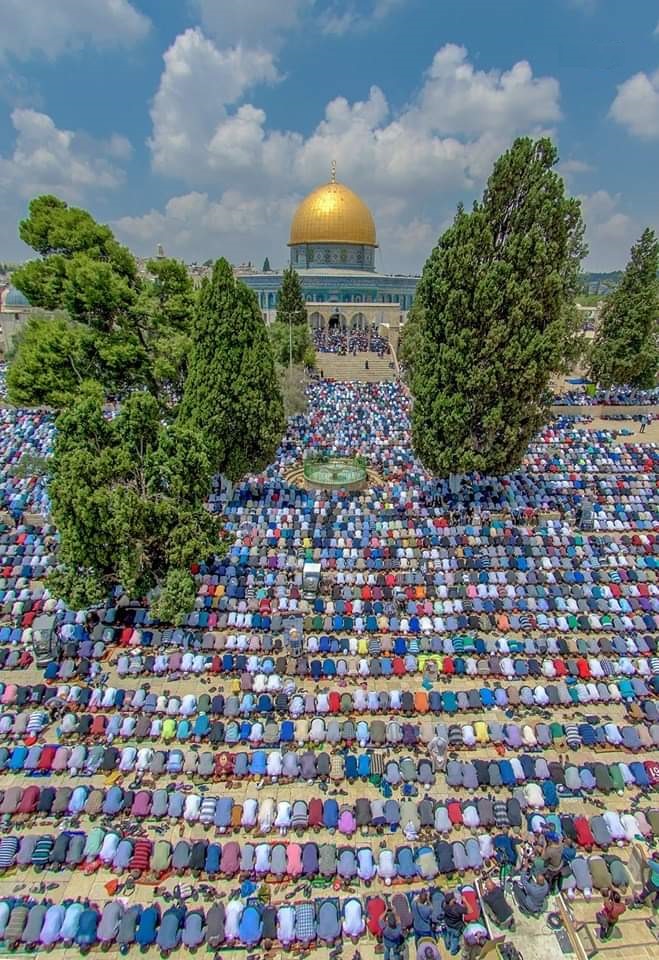 مشهد رائع لصلاة الجمعة من القدس
