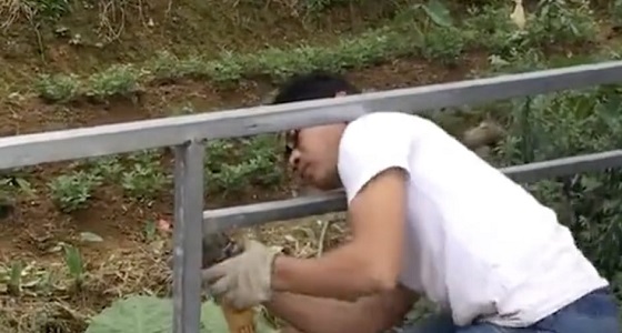 بالفيديو.. عامل لحام يثبت سورا معدنيا وينسى رأسه بين القضبان الحديدية 