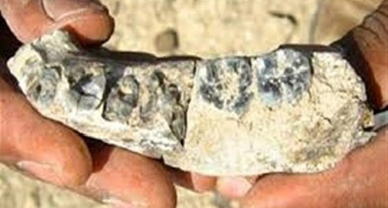 العثور على بقايا إنسان بدائي غامض في الصين