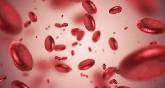 4 خطوات للوقاية من أنيميا نقص الحديد