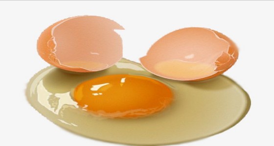 اللون الداكن لصفار البيض دليل جودته.. خرافة يروجها منتجي الدواجن