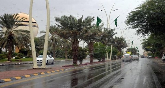 هطول أمطار غزيرة مصحوبة بالغبار وتساقط البرد في القصيم 