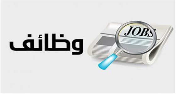 وظائف شاغرة في شركة تجارية