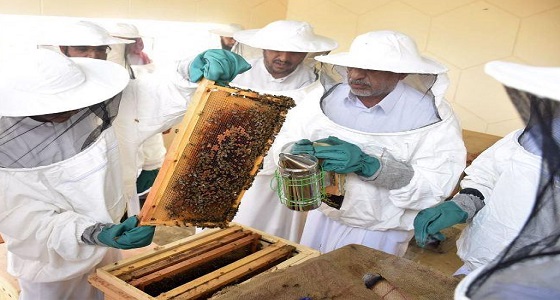 11 مخالفة تهدد النحالين ومنتجي العسل بغرامة فادحة وإلغاء الترخيص