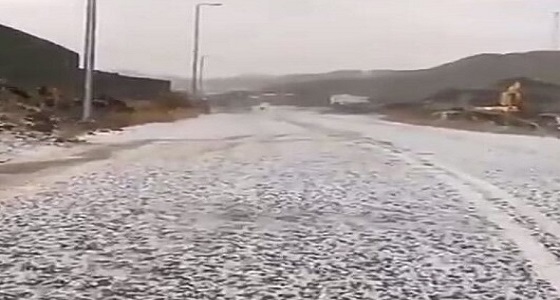 بالفيديو.. أجواء جميلة مع تساقط الأمطار والبرد شمال أبها 