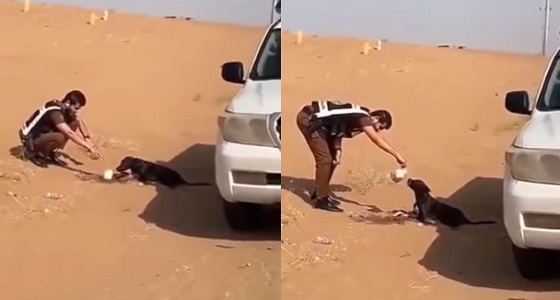 بالفيديو.. رجال أمن جازان يترجلون من دوريتهم لسُقيا كلب وتظليله من الشمس