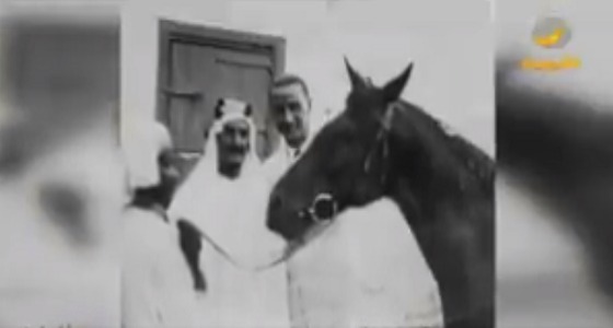 بالفيديو.. قصة &#8221; حصان السابق &#8221; سبب تفجير آبار النفط بالمملكة