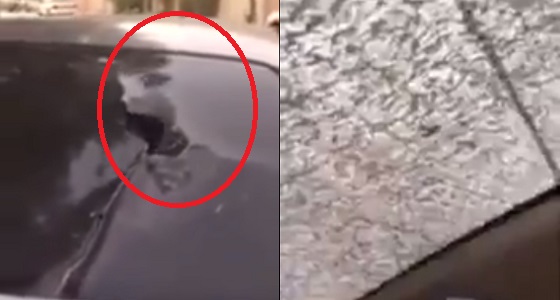 بالفيديو.. انفجار &#8221; بخاخ &#8221; بفعل الحرارة داخل سيارة كاد أن يتسبب في كارثة