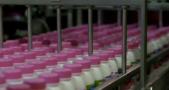 &#8221; الغذاء والدواء &#8221; ترد على فيديو متداول يحذّر من تناول الحليب ومنتجات الألبان