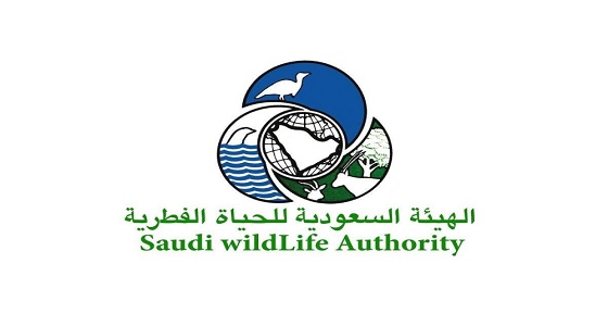 مطالبات بحظر تغذية ” البابون ” بعد إلحاق مكافحتها بأمانات المناطق