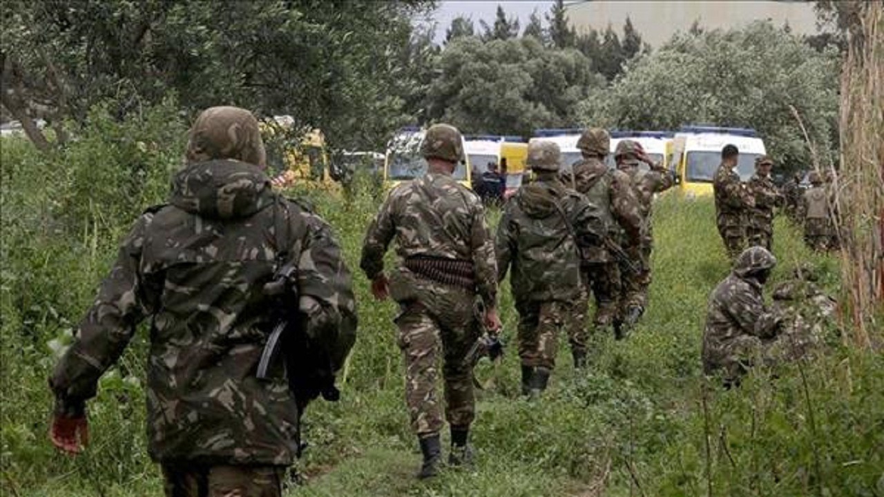 الجيش الجزائري يقبض على 9 عناصر إرهابية