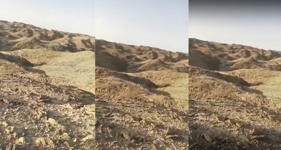 بالفيديو.. العثور على جثة شاب مفقود بالدوادمي بعد 6 أيام