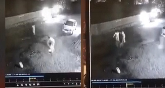 بالفيديو.. هجوم كلب ضال على 4 أشخاص من عائلة واحدة