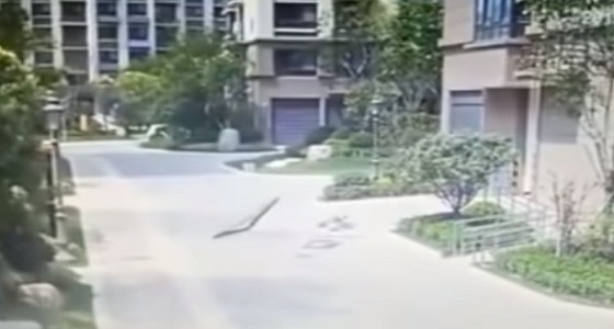 فيديو مروع لرجل يفقد وعيه عقب سقوط نافذة على رأسه من الطابق الـ 19