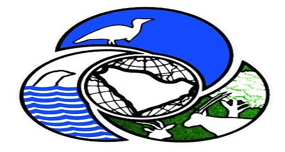 تسجيل 144 نوع من الزواحف في المملكة