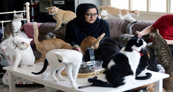 بالصور.. سيدة تفتح أبواب منزلها لتأوي 75 قطة