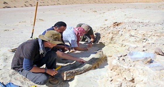 سلطان بن سلمان: الإسلام بدء في جزيرة العرب منذ خلق الله الانسان