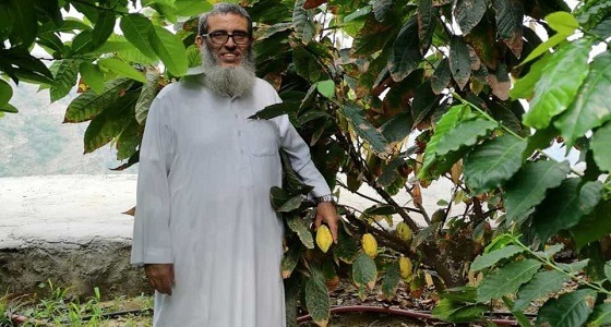 بالصور.. مواطن ينجح في زراعة شجرة الكاكاو بجازان