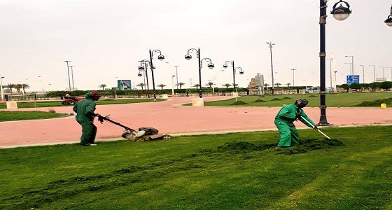 أمانة الشرقية: تجهيز 677 حديقة وزراعة أكثر من 1,2مليون شجرة ضمن استعدادات عيد الفطر