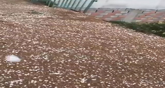 بالفيديو.. سقوط الثلوج على منتزه السودة في عسير