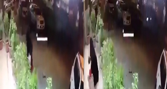 بالفيديو.. لحظات مرعبة لهجوم كلب ضال على طفلة في أحد شوارع المملكة